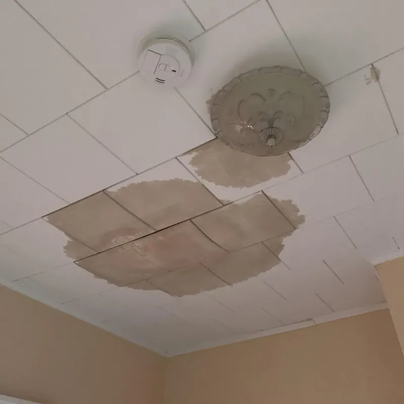 Ceiling Water Damage Repair in Roessleville, NY