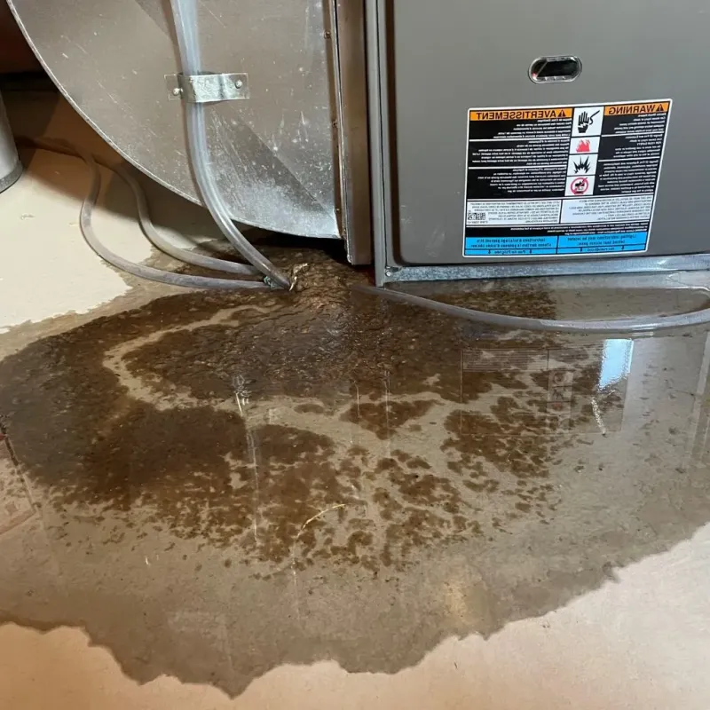 Pipe Burst and Leak Restoration in Roessleville, NY